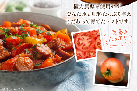 訳あり トマト 冷凍志宝トマト大玉 2kg (真空パック) [モアショップヤマモト 石川県 宝達志水町 38601346]