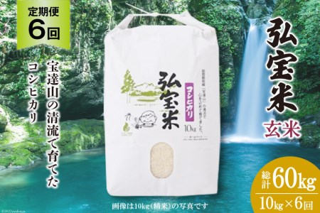 お米 定期便 6回 コシヒカリ「弘宝米」 玄米 10kg 総計60kg / 中西農場 / 石川県 宝達志水町