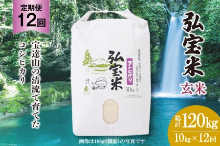 お米 定期便 12回 コシヒカリ「弘宝米」 玄米 10kg 総計120kg / 中西農場 / 石川県 宝達志水町