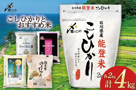 米 コシヒカリ2kg & おすすめ 2kg 計4kg 令和4年 精米 白米 食べ比べ セット / 中橋商事 / 石川県 宝達志水町