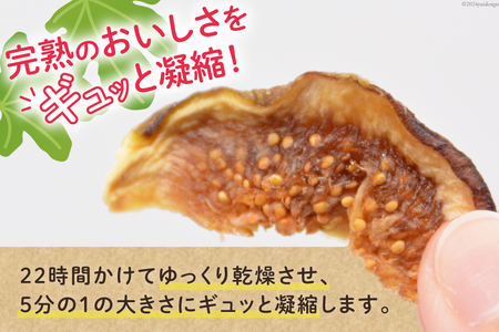 【期間限定発送】 ドライフルーツ いちじく 50g [モアショップヤマモト 石川県 宝達志水町 38601069]