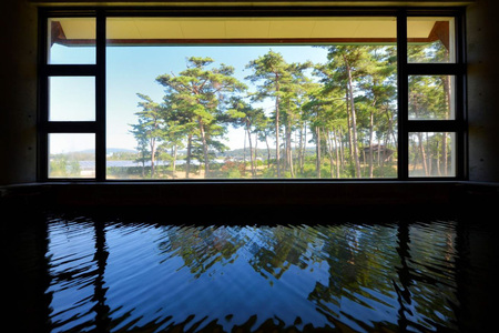 宿泊券 ペア 1泊2日 お食事なし [ホテルウェルネス能登路 石川県 宝達志水町 38600906]