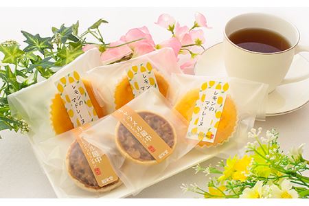和菓子 「昭栄堂」の和菓子詰め合わせセット [道の駅織姫の里なかのと 石川県 中能登町 27aa0005]