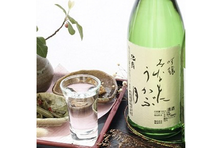 【鳥屋酒造】 日本酒 飲み比べセット 吟醸 みなもにうかぶ月 純米酒 眉丈山 720ml [道の駅織姫の里なかのと 石川県 中能登町 nk17amw270060]