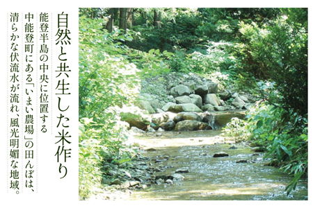 米 特別栽培米 平右ェ門 へいよもん 5kg×2 計10kg [いまい農場 石川県 中能登町 27ad0003]