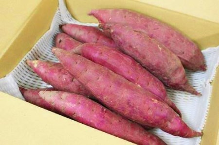 生産者が丹精こめた 中能登町産 さつまいも 紅はるか 5kg 石川県中能登町 ふるさと納税サイト ふるなび