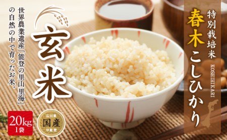 米 特別栽培米 春木 コシヒカリ 玄米 20kg [農業組合法人能登やまびこ 石川県 中能登町 27af0001]