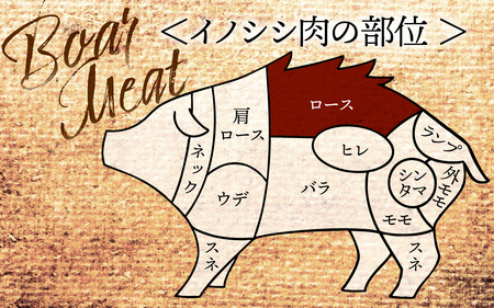 奥能登穴水町産 天然 猪肉（ロース200g） 