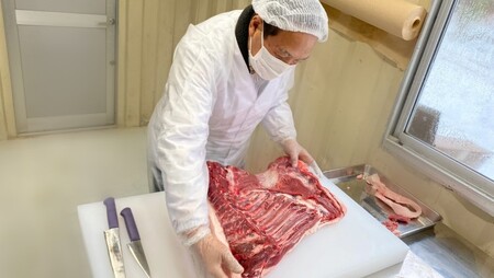 今話題のジビエ！穴水町産 天然 猪肉（ロース）