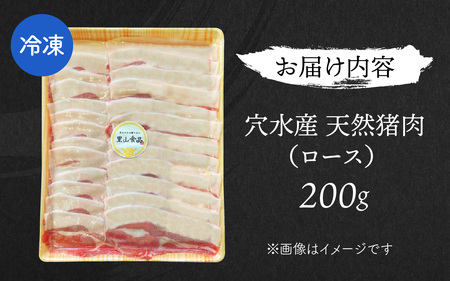 奥能登穴水町産 天然 猪肉（ロース200g） 