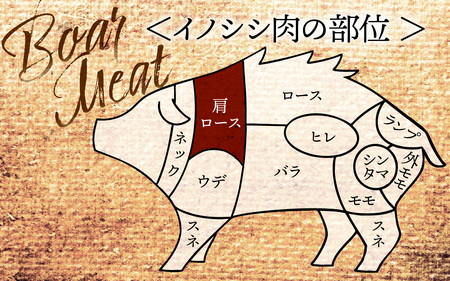 奥能登穴水町産 天然 猪肉（肩ロース200g） 
