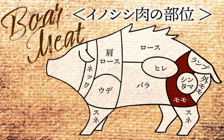 今話題のジビエ!奥能登穴水町産 天然 猪肉(モモ200g) 冷凍発送
