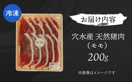 今話題のジビエ!奥能登穴水町産 天然 猪肉(モモ200g) 冷凍発送