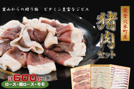 今話題のジビエ！穴水町産 天然 猪肉セット 600g