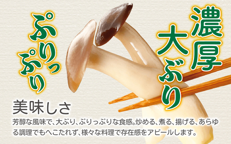 そのまま使えるぶなしめじ