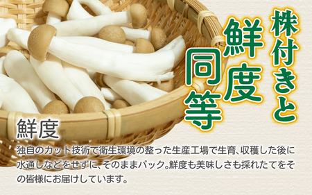 そのまま使えるぶなしめじ