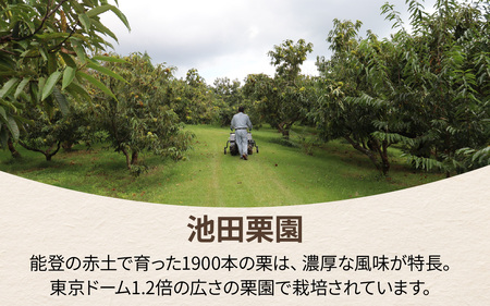 【先行予約】奥能登 池田栗園の能登栗 3kg 【2025年9月中旬以降順次発送】/ 能登半島 奥能登 和栗