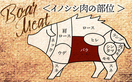 奥能登穴水町産 天然 猪肉（バラ肉200g）