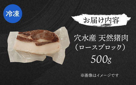 穴水町産天然 猪肉（ブロック）500g