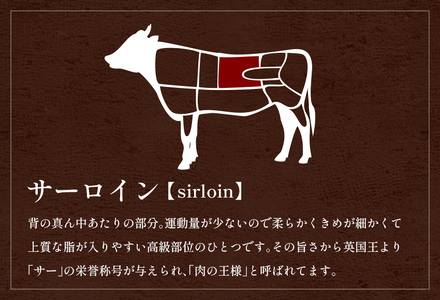 【先行予約】【和牛セレブ】能登牛 サーロインステーキ 240g【2026年1月20日以降順次発送】