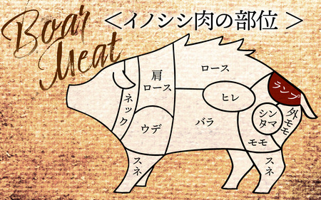 奥能登 穴水産 天然猪肉 ランプ 120g×3枚 計360g / ジビエ