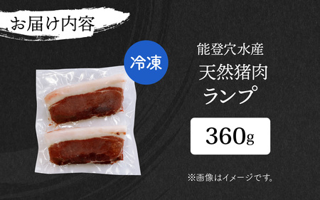 奥能登 穴水産 天然猪肉 ランプ 120g×3枚 計360g / ジビエ