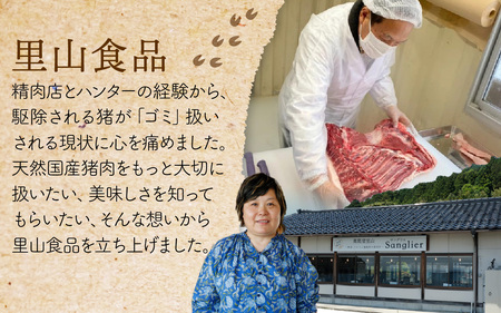 【能登・穴水産】天然 猪肉のサングリエカレー 2袋セット(計500g) | ジビエ 猪肉 レトルト