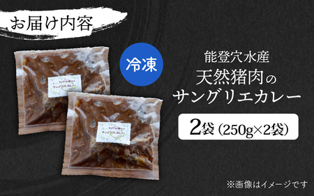 【能登・穴水産】天然 猪肉のサングリエカレー 2袋セット(計500g) | ジビエ 猪肉 レトルト