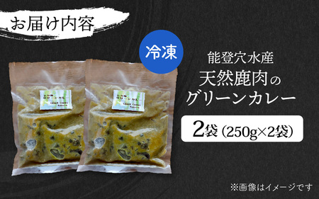 【能登・穴水産】天然 鹿肉のグリーンカレー 2袋セット（計500g） | ジビエ 鹿肉 レトルト