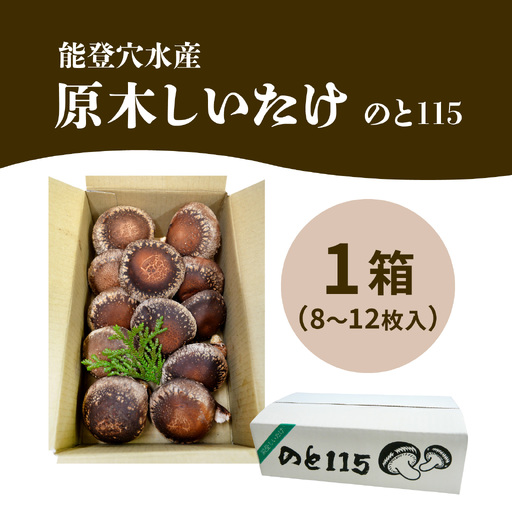 【先行予約】奥能登 穴水産 原木しいたけ (のと115) 8～12枚【2026年1月以降順次発送】/  能登半島 椎茸 生しいたけ きのこ