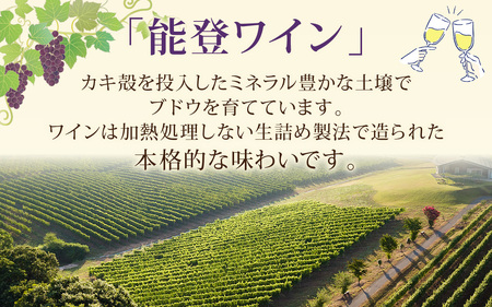 【先行予約】赤白飲み比べ 能登ワイン2本セット【2025年11月中旬以降順次発送】