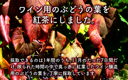 能登のぶどう畑の紅茶 ティーバッグ（3.5g × 7包）× 2缶 ～能登ワイン用ぶどうの葉で作りました～ | お茶 紅茶