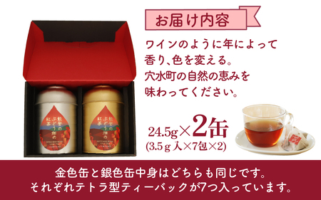 能登のぶどう畑の紅茶 ティーバッグ（3.5g × 7包）× 2缶 ～能登ワイン用ぶどうの葉で作りました～ | お茶 紅茶