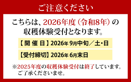 収穫体験にワイン５本も！ 能登ワイン　ぶどうの木オーナー【令和8年収穫体験】