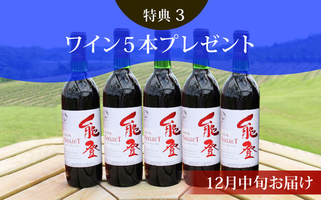 収穫体験にワイン５本も！ 能登ワイン　ぶどうの木オーナー【令和8年収穫体験】