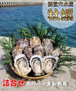 鮮度抜群！獲れたてをお届け！ 能登穴水の牡蠣（殻付・ムキ身）詰合せ