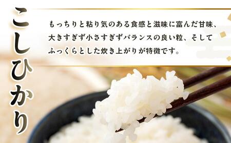 【復興支援】【令和7年度産】奥能登柳田米Eこしひかり 3kg