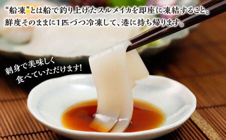 【復興支援】船凍するめいか 約2kg