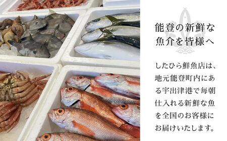 【復興支援】能登の鮮魚丸ごとセット【2~3人前】