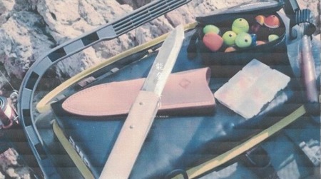 【復興支援】能登マキリ(孫光)