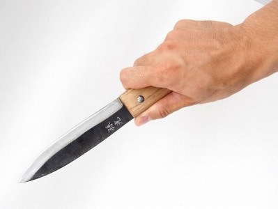 【復興支援】能登マキリ(孫光)