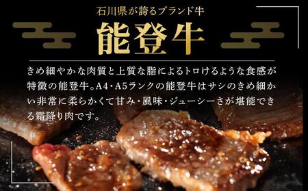 【復興支援】【A4・A5】能登牛 焼肉用厳選部位 500g