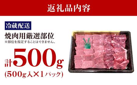 【復興支援】【A4・A5】能登牛 焼肉用厳選部位 500g