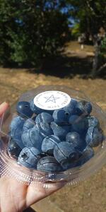 【復興支援】【先行予約】生・能登ブルーベリー200ｇパック×２つ