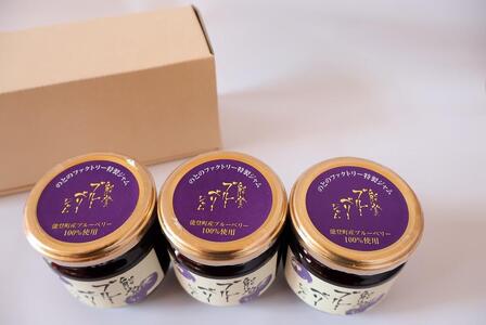 【復興支援】能登町特産品ブルーベリージャムセット(180g×3個入)