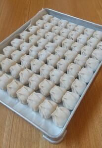 【復興支援】能登まるまる餃子 5人前【2026年1月以降 順次発送】