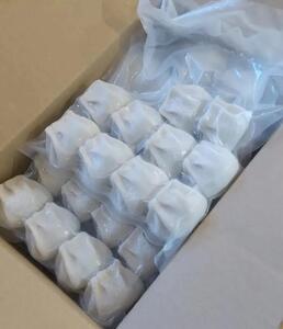 【復興支援】能登まるまる餃子 5人前【2026年1月以降 順次発送】