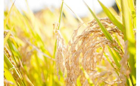 【復興支援】奥能登産「能登ひかり」米糀あまざけ500ml×3本