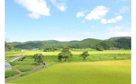 【復興支援】奥能登産「能登ひかり」米糀あまざけ500ml×3本