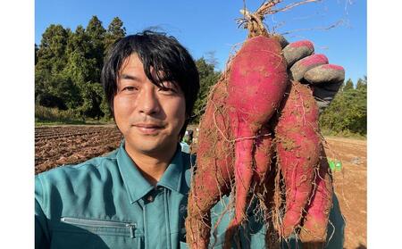 旬まるかじり!石川県産さつまいもスティック　200ｇ x 6袋